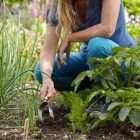 - Quality Garden Supplies