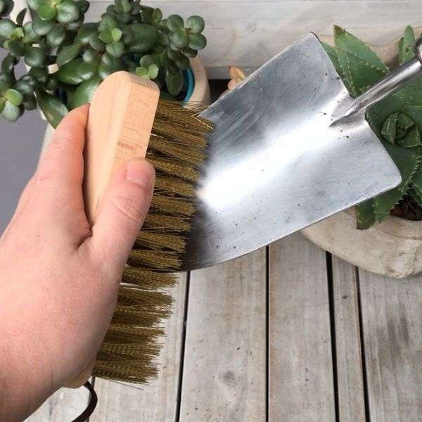 ryset_ashwood_copper_brush_qualitygardensupplies_01 - Quality Garden Supplies - Quality Garden Supplies
