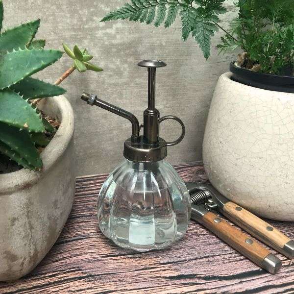 ryset-glass-mister-qualitygardensupplies-02 - Quality Garden Supplies The Ryset Glass Indoor Plant Mister is a beautiful mister to give houseplants the nurturing humidity they crave, without overwatering. - Quality Garden Supplies