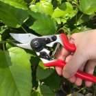- Quality Garden Supplies