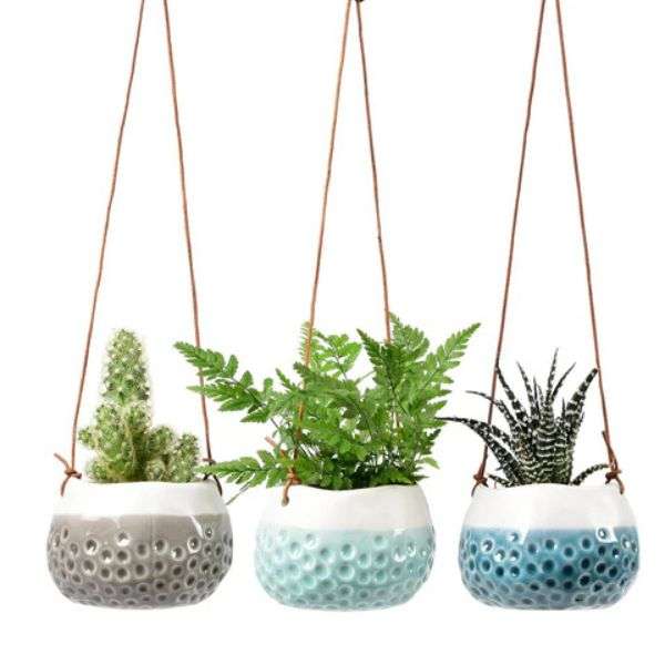 The Burgon & Ball Hanging Pot Dotty Trio in blue, grey and aqua, full of succulents and herbs.